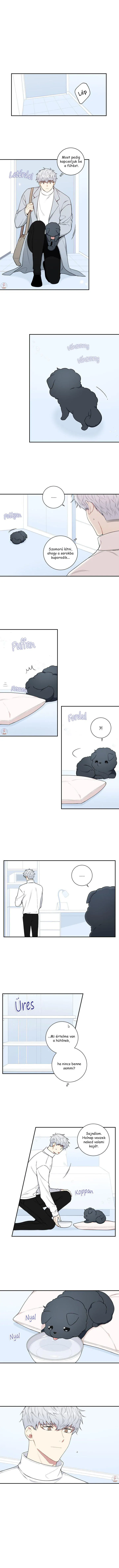 42905213 720 9516 201650